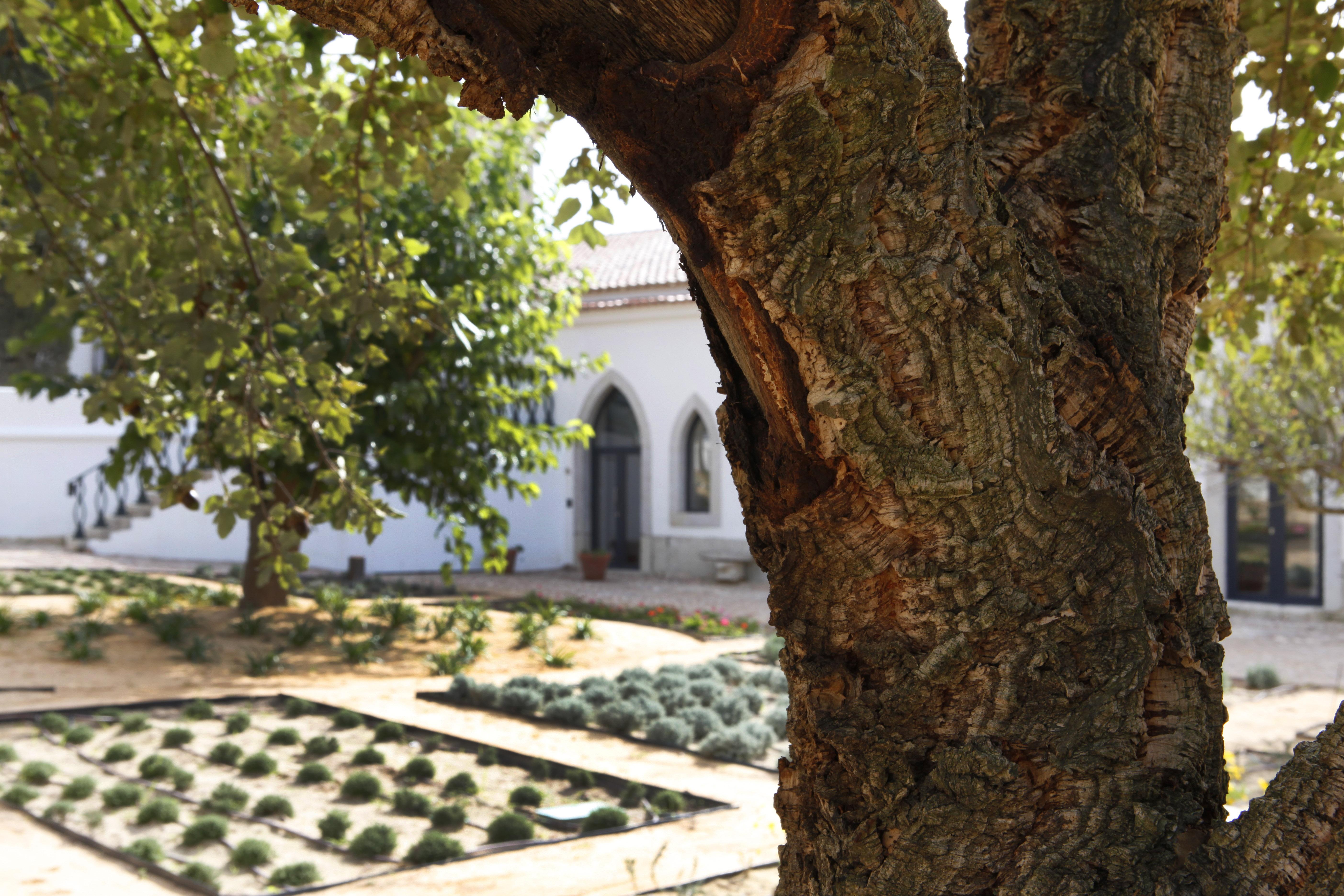 Hotel Casa Palmela - Small Luxury Hotels Of The World, Hotel & Villas セトゥーバル エクステリア 写真