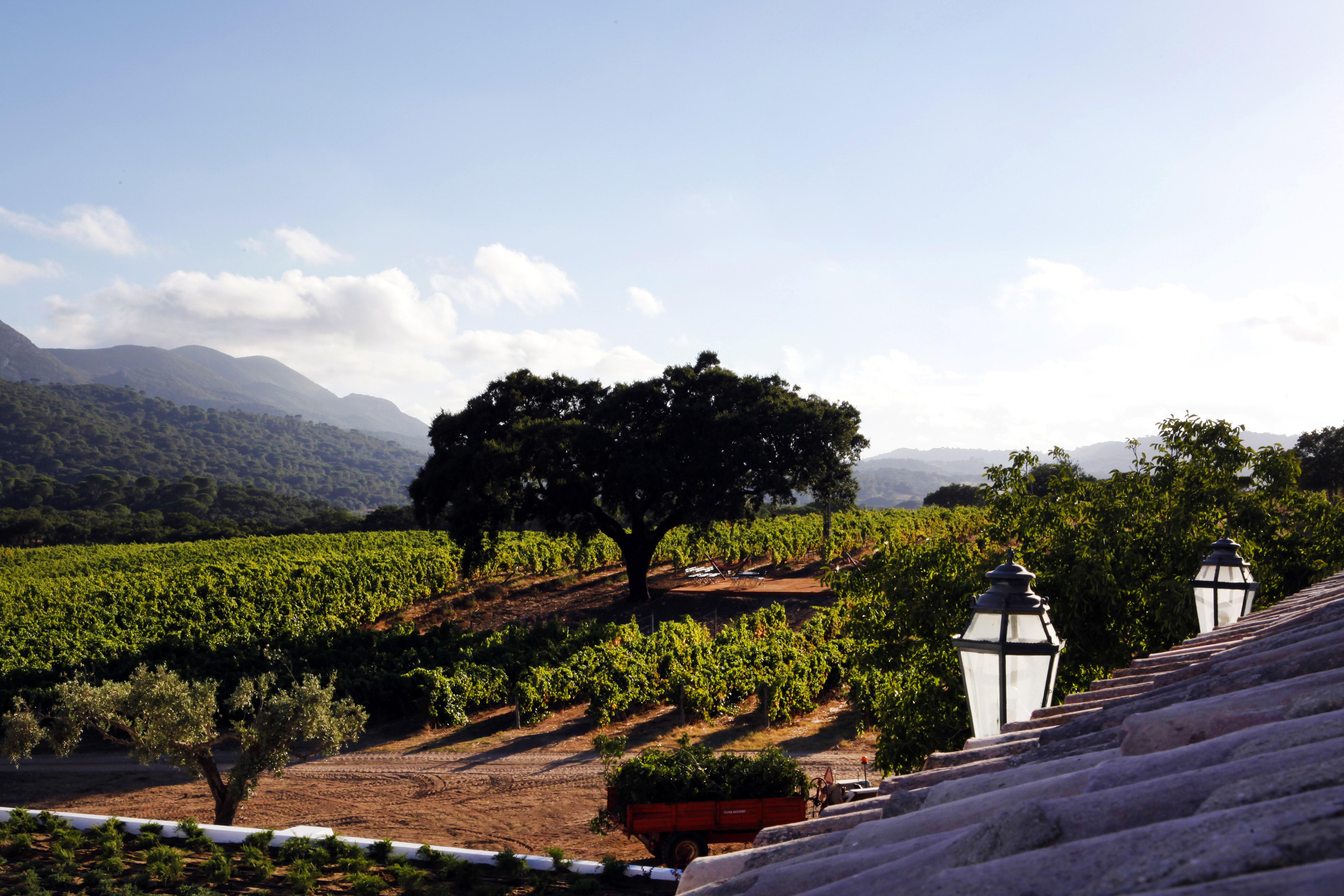 Hotel Casa Palmela - Small Luxury Hotels Of The World, Hotel & Villas セトゥーバル エクステリア 写真